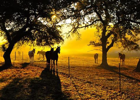 You Haven’t Seen These Texas Hill Country Towns on a BuzzFeed List