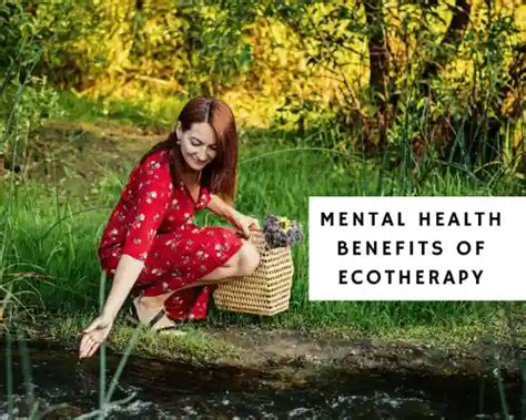 Mental Health Benefits of Ecotherapy - Positive Mind Works