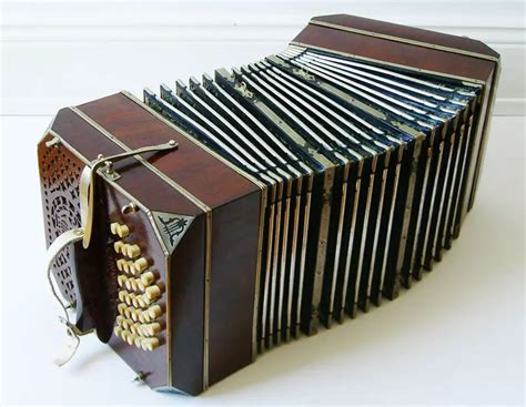 16 Different Types of Accordions (w/ Pictures) – DifferentTypes.net