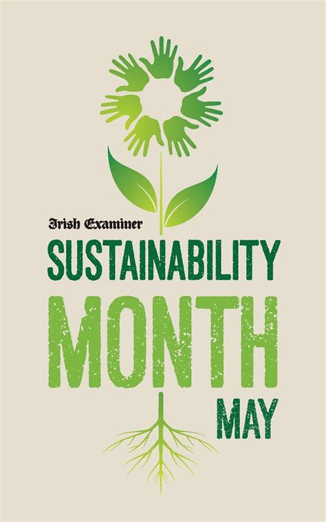 Irish Examiner ‘Sustainability Month’ | News Brands Ireland