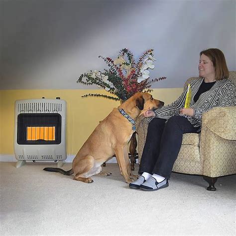 Mr. Heater 18000-BTU Convection Garage Heater (Propane) 125549 at Lowes.com