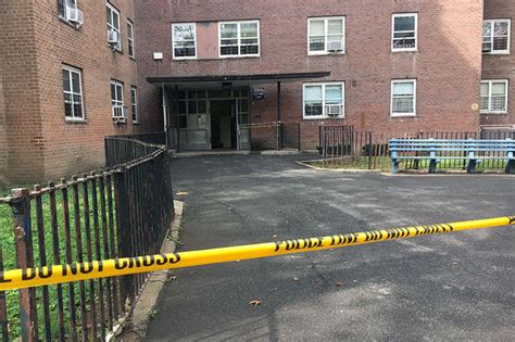 Cypress Hills Houses Residents Demand Extra Security After Fatal Shooting - East New York - New ...