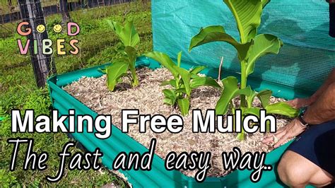 Homemade Mulch for the Garden Beds - YouTube