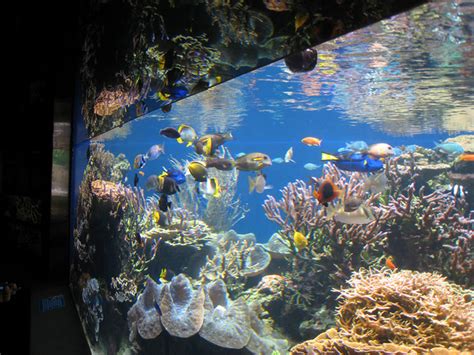 Waikiki Aquarium - Hawaii on a Map