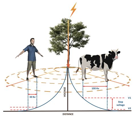 How is lightning strike is created ? How powerful is a lightning bolt?