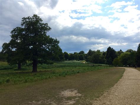 Richmond Park, London - Wander Mum