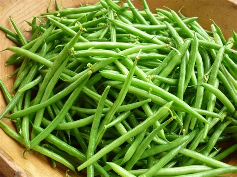 meilleure variété haricot vert – variétés de haricots verts – Lifecoach