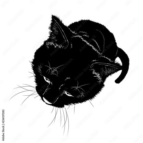 Vector illustration. Black silhouette of a sitting cat. Top view Stock ...