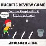 Photosynthesis Cellular Respiration Formula Teaching Resources | TpT