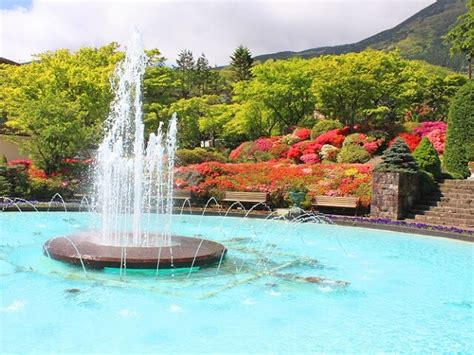 Gora Park | Hakone | Japan Deluxe Tours