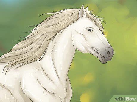 White Horse Meaning: Spiritual, Mythological, & More