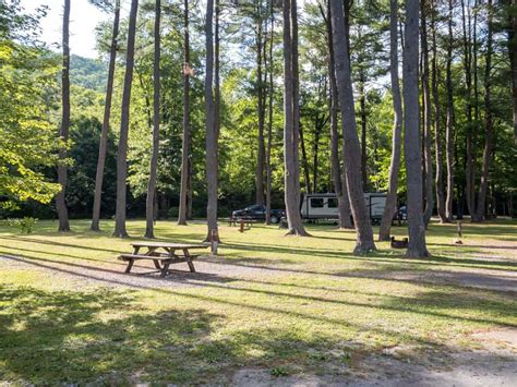 Camping in Ole Bull State Park: Everything You Need to Know - Uncovering PA