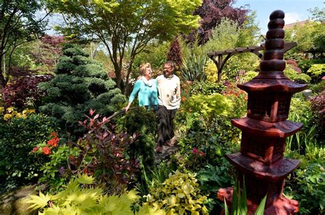 Colour, craft and 3,000 plants: The incredible Walsall garden open to ...