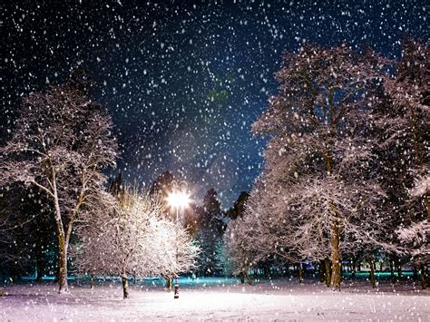 🔥 [45+] Snowy Winter Night Scenes Wallpapers | WallpaperSafari