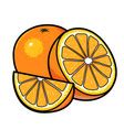 Orange fruits Royalty Free Vector Image - VectorStock