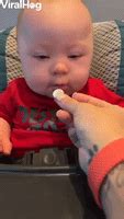 Hungry-baby GIFs - Get the best GIF on GIPHY