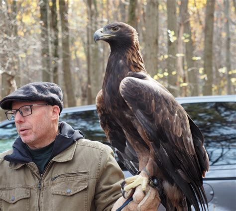 PA Environment Digest Blog: Golden Opportunity To See A Golden Eagle, North America's Largest ...