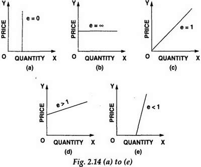 Types of Elasticity in Economics