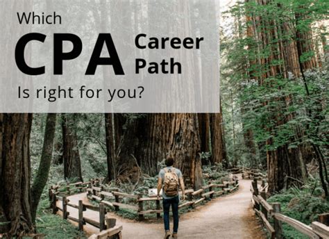 CPA Career Paths | Jobs for CPAs - UWorld Roger CPA Review