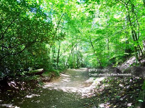 Hiking Trail In Blue Ridge Mountains High-Res Stock Photo - Getty Images