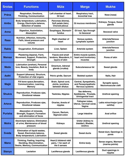 Autophagy: not just fasting, exercise! - Prachodayat