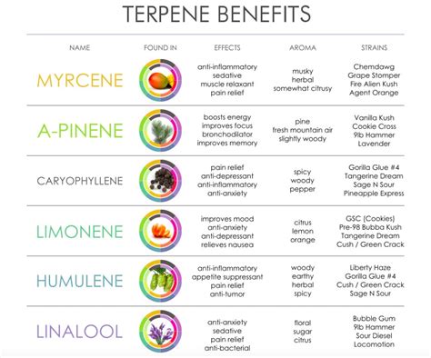 True Natural Oils prides our hand crafted use of essential Terpenes in our formulas. – True ...