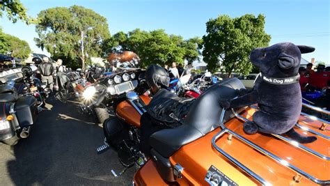 Dubbo's Black Dog Ride 1 Dayer raises awareness, funds for suicide prevention | Daily Liberal ...