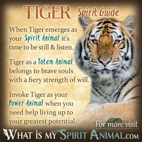 Tiger Symbolism & Meaning | As Above And So Below | Spirit animal quiz, Tiger spirit animal ...