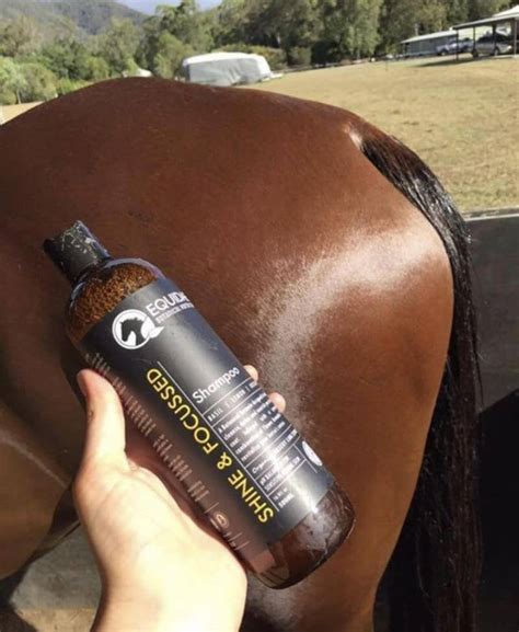 SHINE & FOCUSSED Natural Horse Shampoo Australia | Natural Ingredients - Equidae Botanical Horse ...