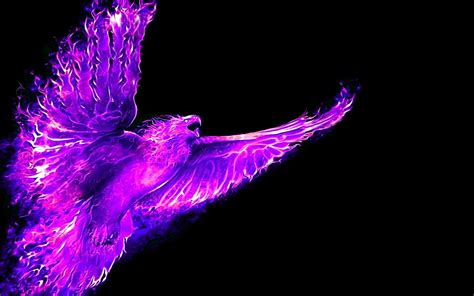 Purple Phoenix Wallpapers - Top Free Purple Phoenix Backgrounds - WallpaperAccess