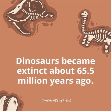 Dinosaur Facts for Kids That Will Shock and Amaze Your Students! - Illuminati Press