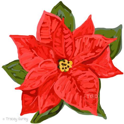 Download High Quality poinsettia clipart clear background Transparent PNG Images - Art Prim clip ...