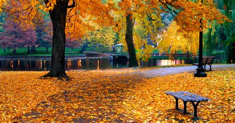 11 places to see fall foliage in/around Boston [09/28/24]