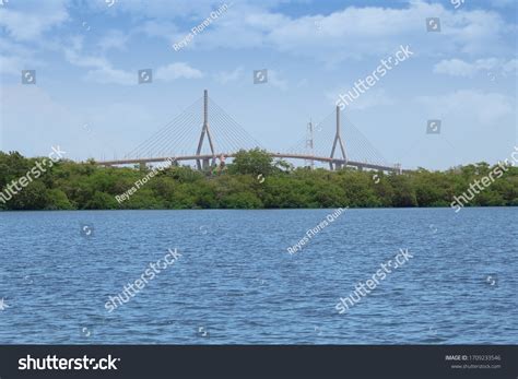 11 Tampico Bridge Images, Stock Photos & Vectors | Shutterstock