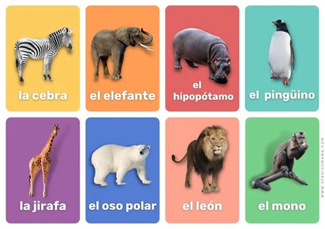 Free Printable Spanish Flashcards For Kids (and posters!) | Spanish Mama