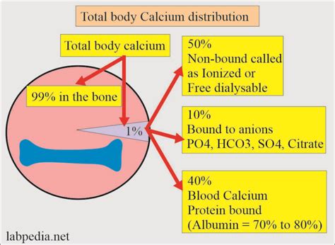 Calcium:- Part 2 - Ionized Calcium (Ca), Free Calcium - Labpedia.net