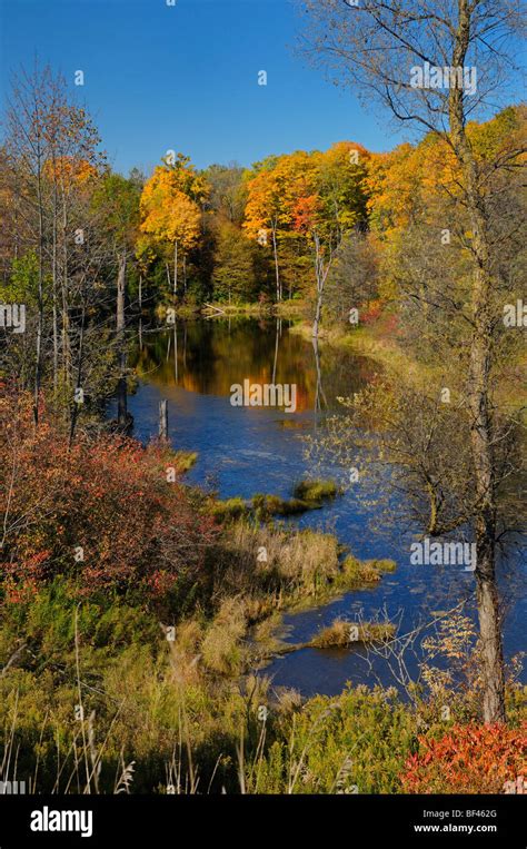 Small lake with trees in Fall colors in the hills of Oak Ridges Moraine at Caledon Ontario ...