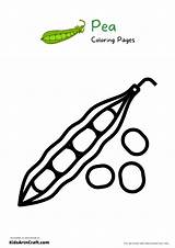 Pea Coloring Pages For Kids – Free Printables  Art & Craft sketch template