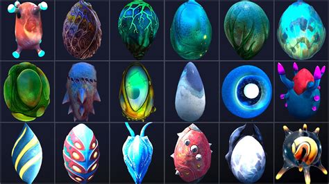 ALL CREATURE EGG IN SUBNAUTICA & SUBNAUTICA BELOW ZERO Including Hatched Creature. - YouTube