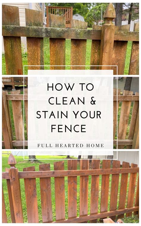 How to Clean & Stain Your Fence | Easy and inexpensive! // Fence Makeover, Re-do a Fence ...