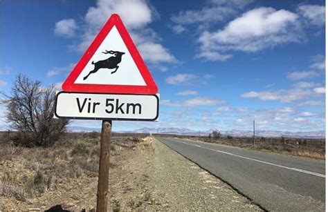 Road signs in South Africa and their meanings - Briefly.co.za