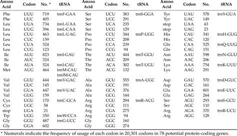 Amino Acid Anticodon Table | Awesome Home