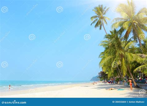 Tropical Beach. White Sand Beach Stock Photo - Image of beach, paradise: 38455684