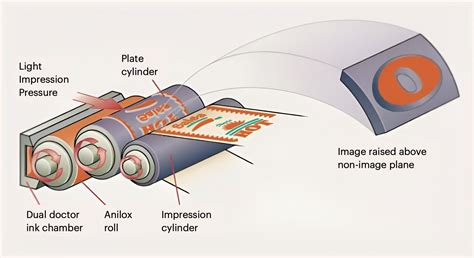 Flexo Printing - Understanding Flexography - A Comprehensive Overview