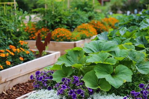 Vegetable Gardening in a Small Space