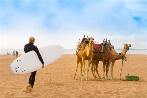 Where to Go to Surfing in Morocco - MarocMama