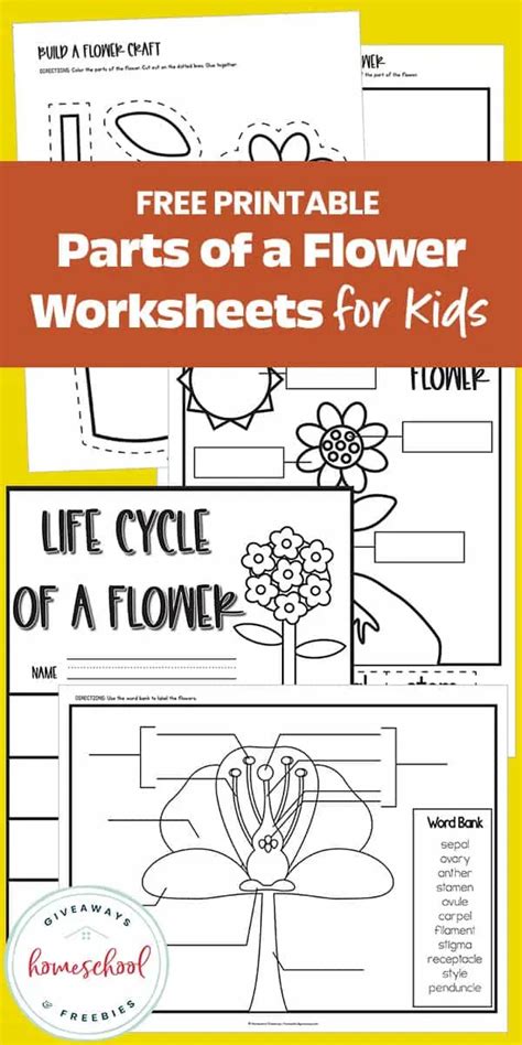 Printable Parts of a Flower Worksheets For Kids