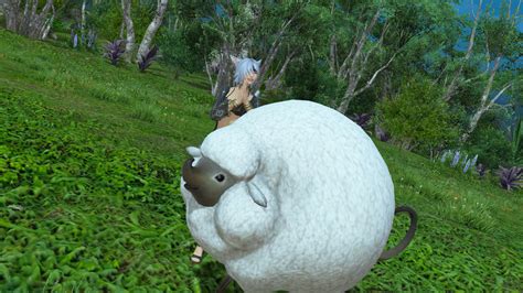 FFXIV Island Sanctuary animals list, locations, and materials - EnD# Gaming