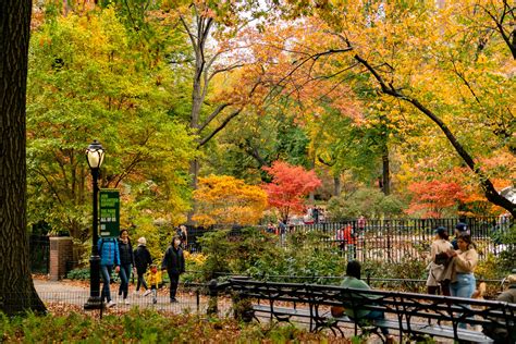 12+ Epic Spots to See Fall Foliage in Central Park - New York Simply