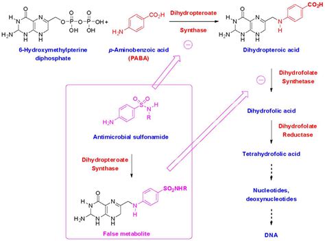 Pharmacy | Free Full-Text | Sulfonamide Allergies